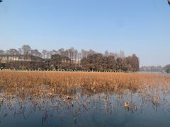 -东湖生态旅游风景区