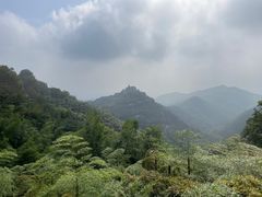 -莫干山风景区