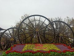 -呀路古热带植物园