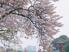 -红星桥(地铁站)