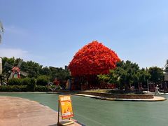 -沈阳方特欢乐世界