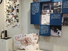 -伟伟宠物医院·CT影像中心·瑞派犬猫综合性门诊(汉口总院)