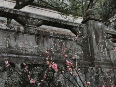 -阿育王寺