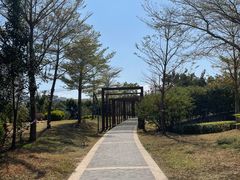 -福田红树林生态公园