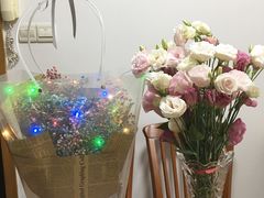 -曲阳花鸟市场(曲阳路店)
