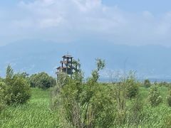 -野鸭湖国家湿地公园