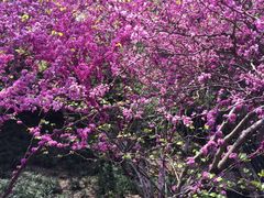 -杭州城北体育公园