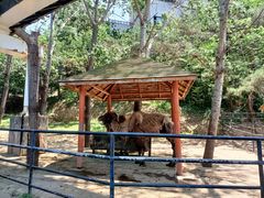 -大连森林动物园