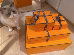 -HERMES(恒隆广场店)