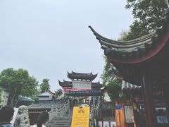 -鸡鸣赐茶(鸡鸣寺路店)