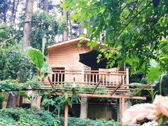 -生态园山庄(森林公园店)