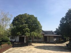 -长沙小顽国景区
