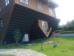 -金山农民画村-枫泾波兰倒置屋