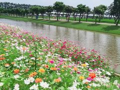 -迪茵湖田家舍生态农场