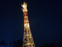 -羊亭河湿地公园