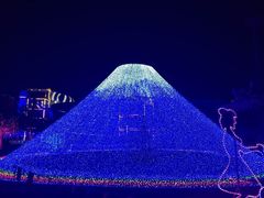-重庆海昌加勒比海水世界