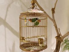 -小厨娘淮扬菜(六合欢乐港店)