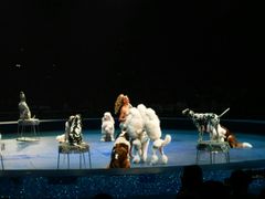 -珠海横琴长隆《卡卡虎奇遇记》