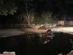 -清迈夜间动物园