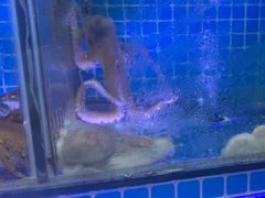 -江南村海鲜馆(洞头店)