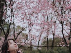-南山植物园
