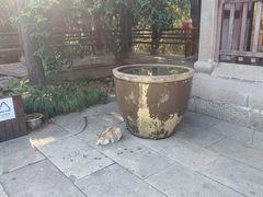 -梦姑塘文化公园