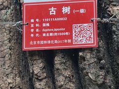 -北京上方山国家森林公园