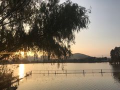 -东湖食堂·湖景餐厅•会议