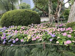 -静安公园(静安寺街道)