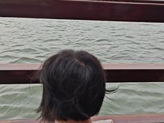 -西湖游船