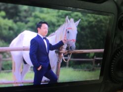 -天长地久婚纱摄影(宝安梦幻影城西乡店)