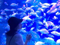 -成都浩海立方海洋公园