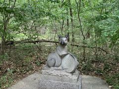 -皇藏峪国家森林公园