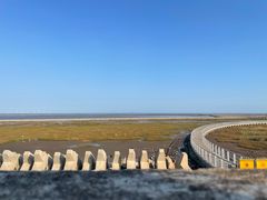 -南汇嘴观海公园