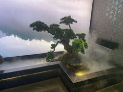 -望湘园·洞庭渔宴(浦江欢乐颂店)