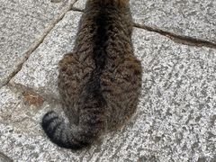 -青岛崂山太清宫