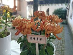 -杭州植物园
