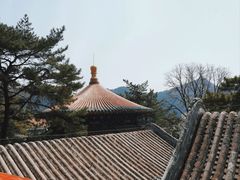 -潭柘寺景区