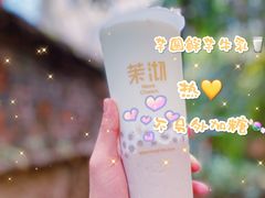 -茉沏(光启城店)