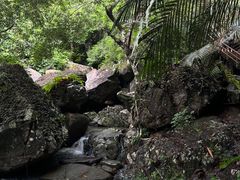 -呀诺达热带雨林