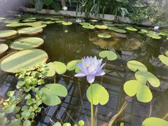 -国家植物园南园