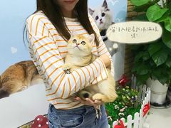 -lincat·猫舍(广州店)