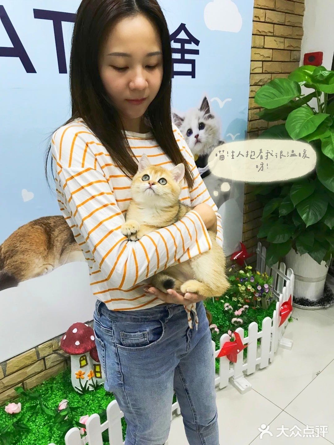 🐱我也变成铲屎官一枚了..小宝贝跟我肥家le…