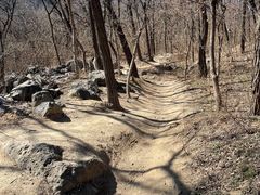 -阳台山自然风景区