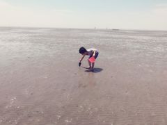 -碧海金沙