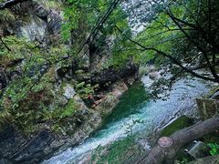 -黄山翡翠谷景区