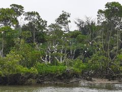 -东寨港红树林旅游区