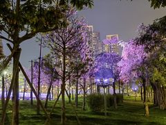 -文华公园(禅城区)