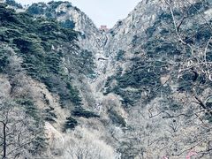 -泰山风景名胜区