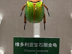 -国家自然博物馆